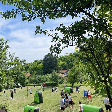 Vila Davidovic-Fruska Gora Mandelos Zewnętrze zdjęcie