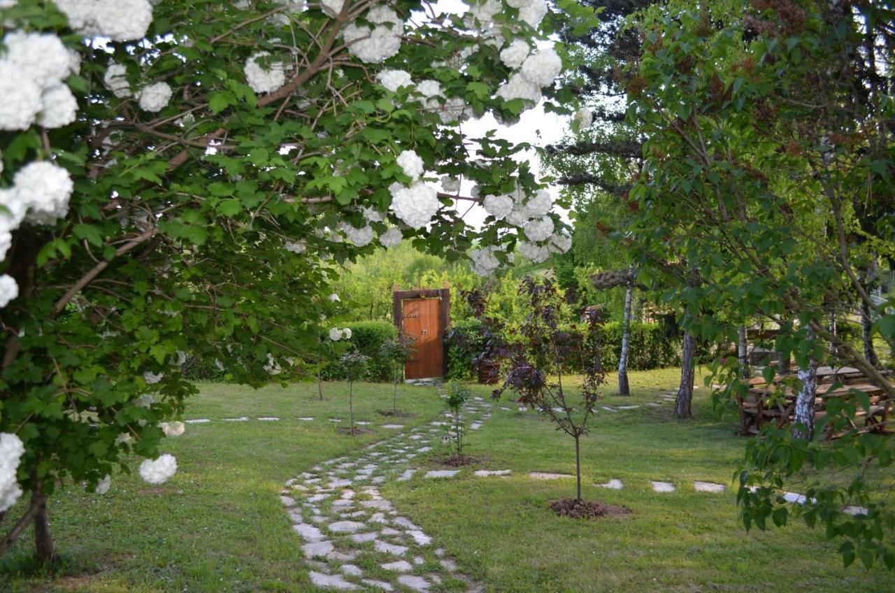 Bed and Breakfast Vila Davidovic-Fruska Gora Mandelos Zewnętrze zdjęcie