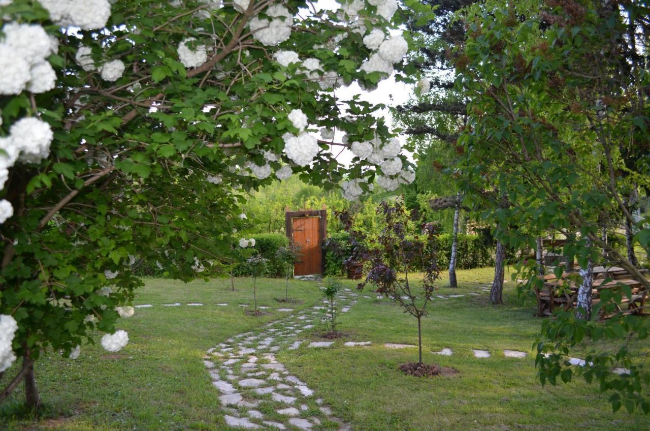 Vila Davidovic-Fruska Gora Mandelos Zewnętrze zdjęcie