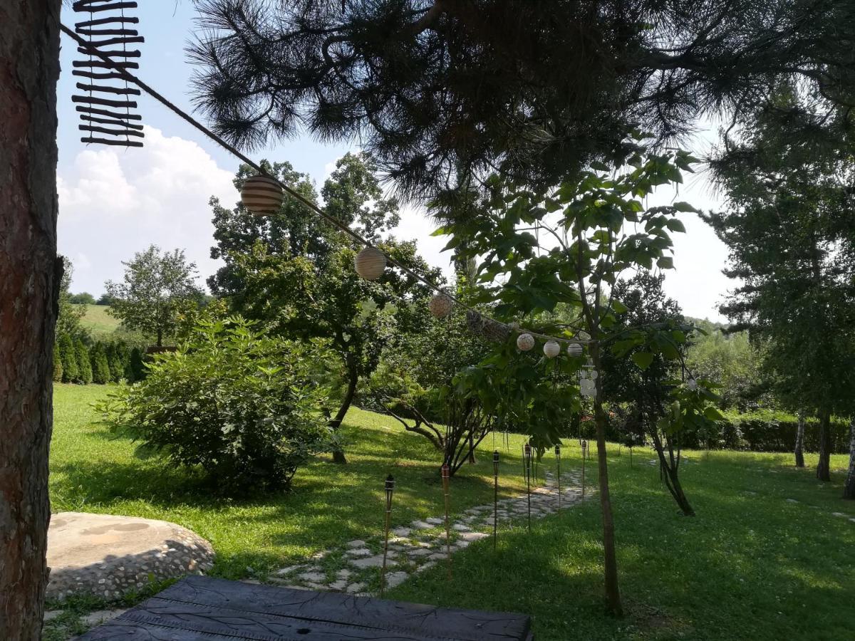 Vila Davidovic-Fruska Gora Mandelos Zewnętrze zdjęcie