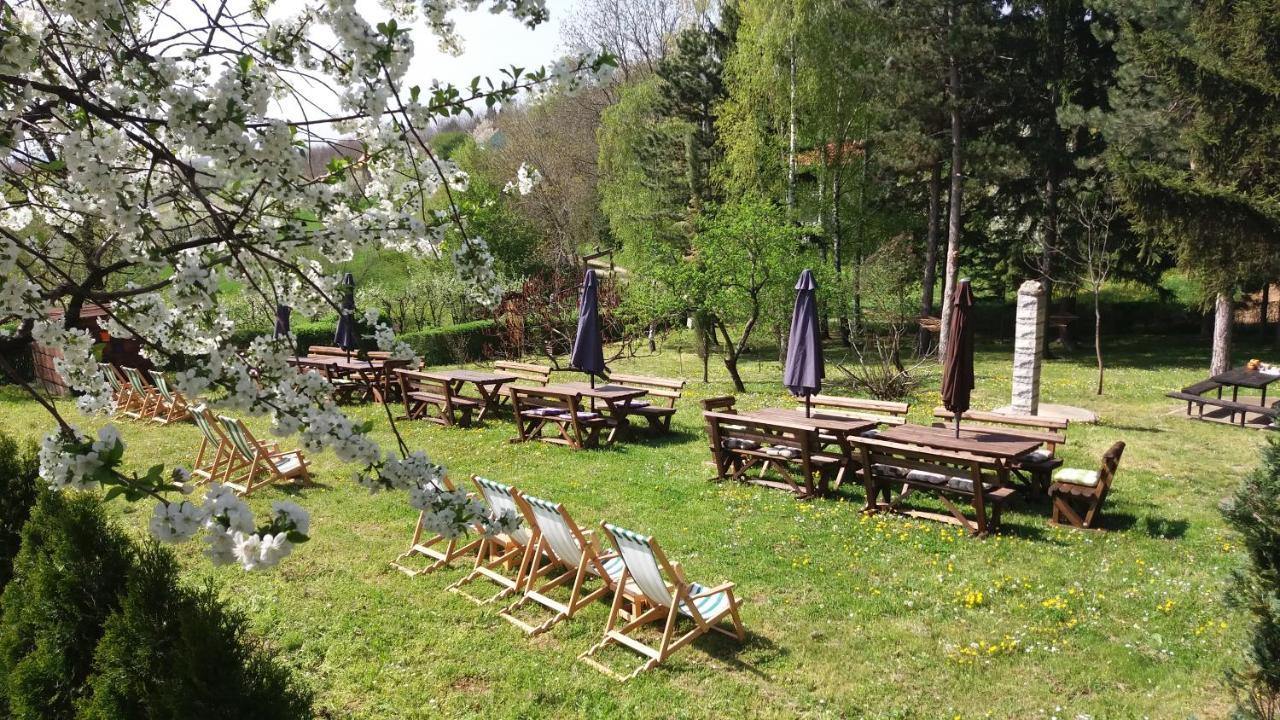 Vila Davidovic-Fruska Gora Mandelos Zewnętrze zdjęcie