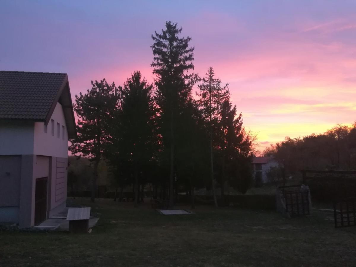 Vila Davidovic-Fruska Gora Mandelos Zewnętrze zdjęcie