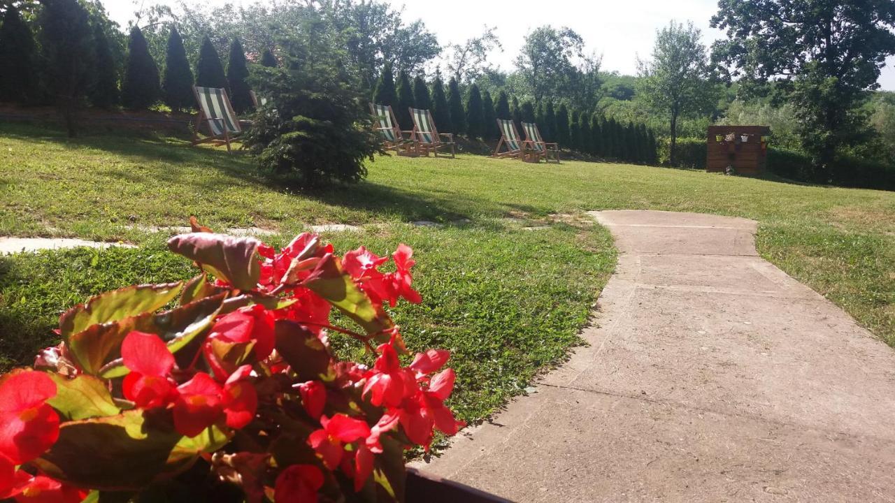 Vila Davidovic-Fruska Gora Mandelos Zewnętrze zdjęcie