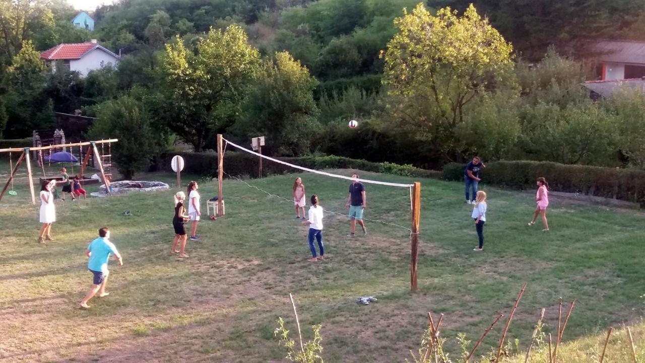 Vila Davidovic-Fruska Gora Mandelos Zewnętrze zdjęcie