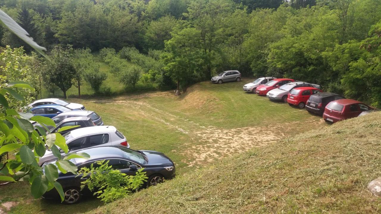Vila Davidovic-Fruska Gora Mandelos Zewnętrze zdjęcie