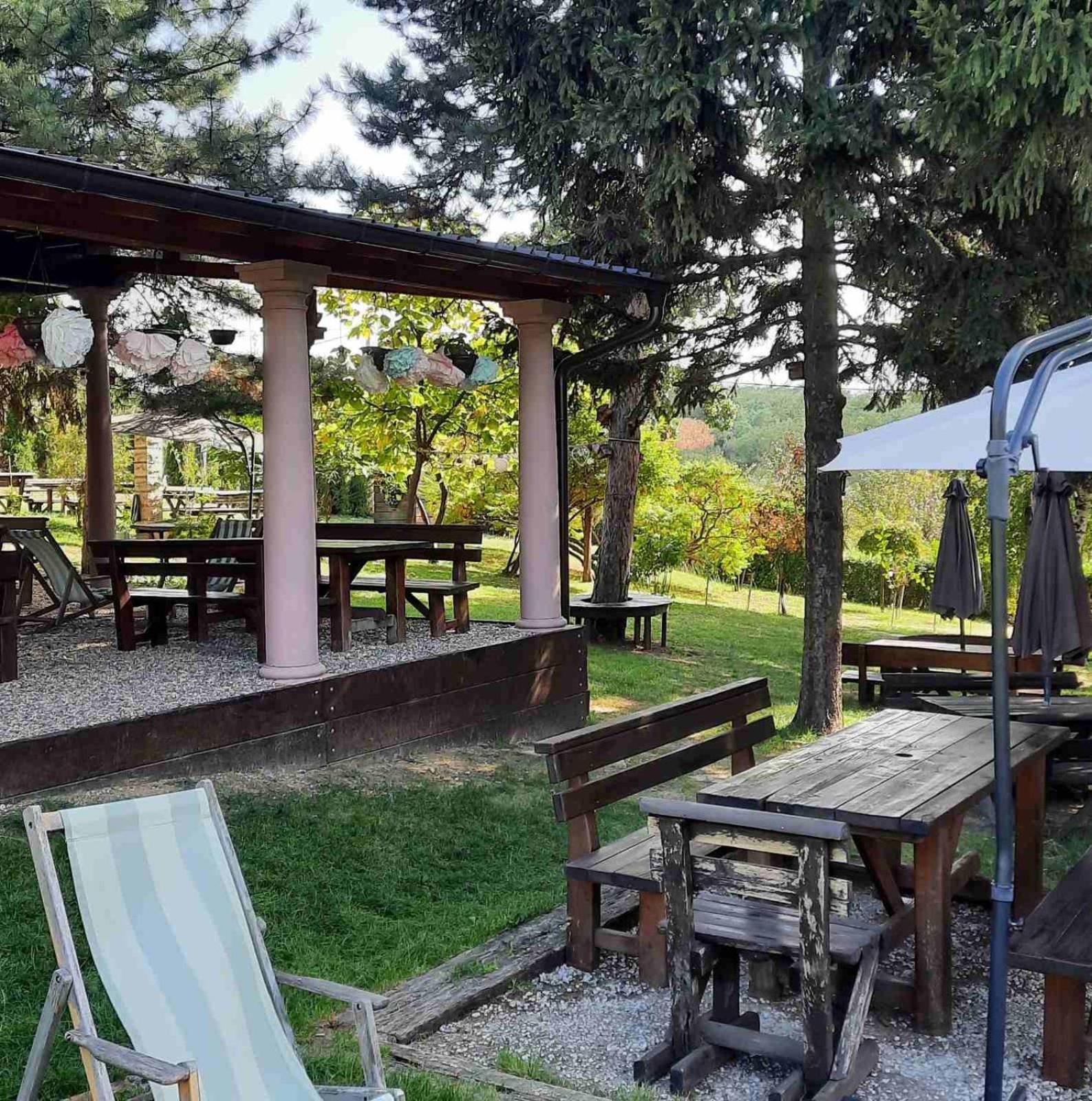 Bed and Breakfast Vila Davidovic-Fruska Gora Mandelos Zewnętrze zdjęcie