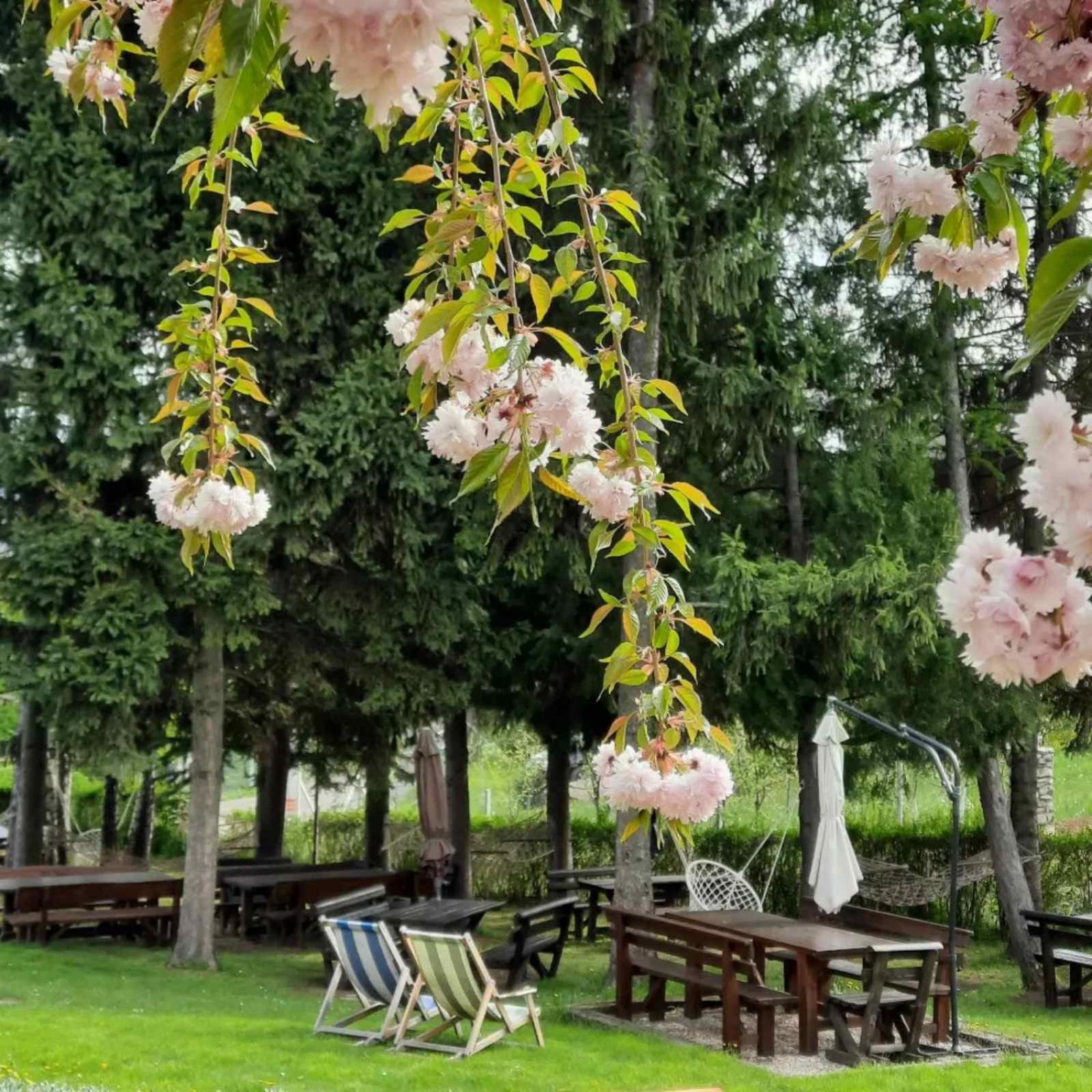 Vila Davidovic-Fruska Gora Mandelos Zewnętrze zdjęcie