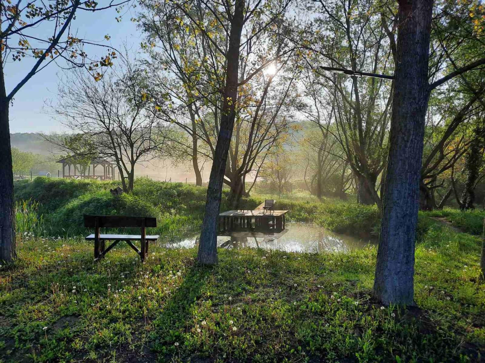 Vila Davidovic-Fruska Gora Mandelos Zewnętrze zdjęcie