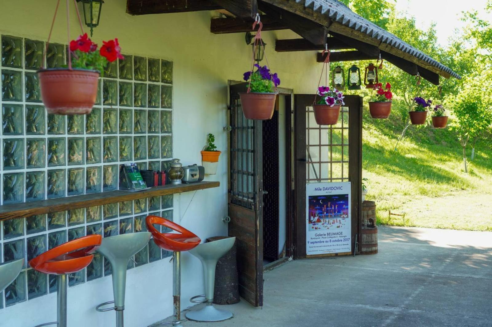 Bed and Breakfast Vila Davidovic-Fruska Gora Mandelos Zewnętrze zdjęcie