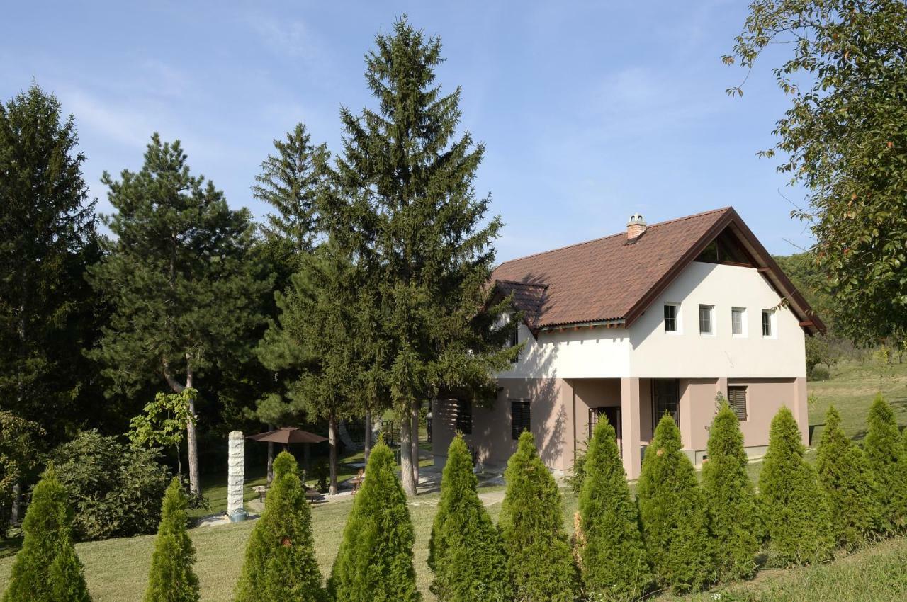 Vila Davidovic-Fruska Gora Mandelos Zewnętrze zdjęcie