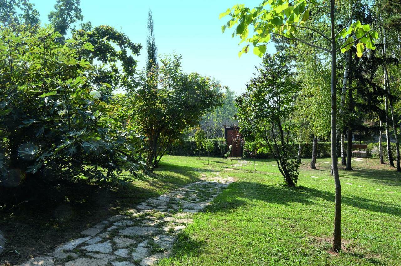 Vila Davidovic-Fruska Gora Mandelos Zewnętrze zdjęcie