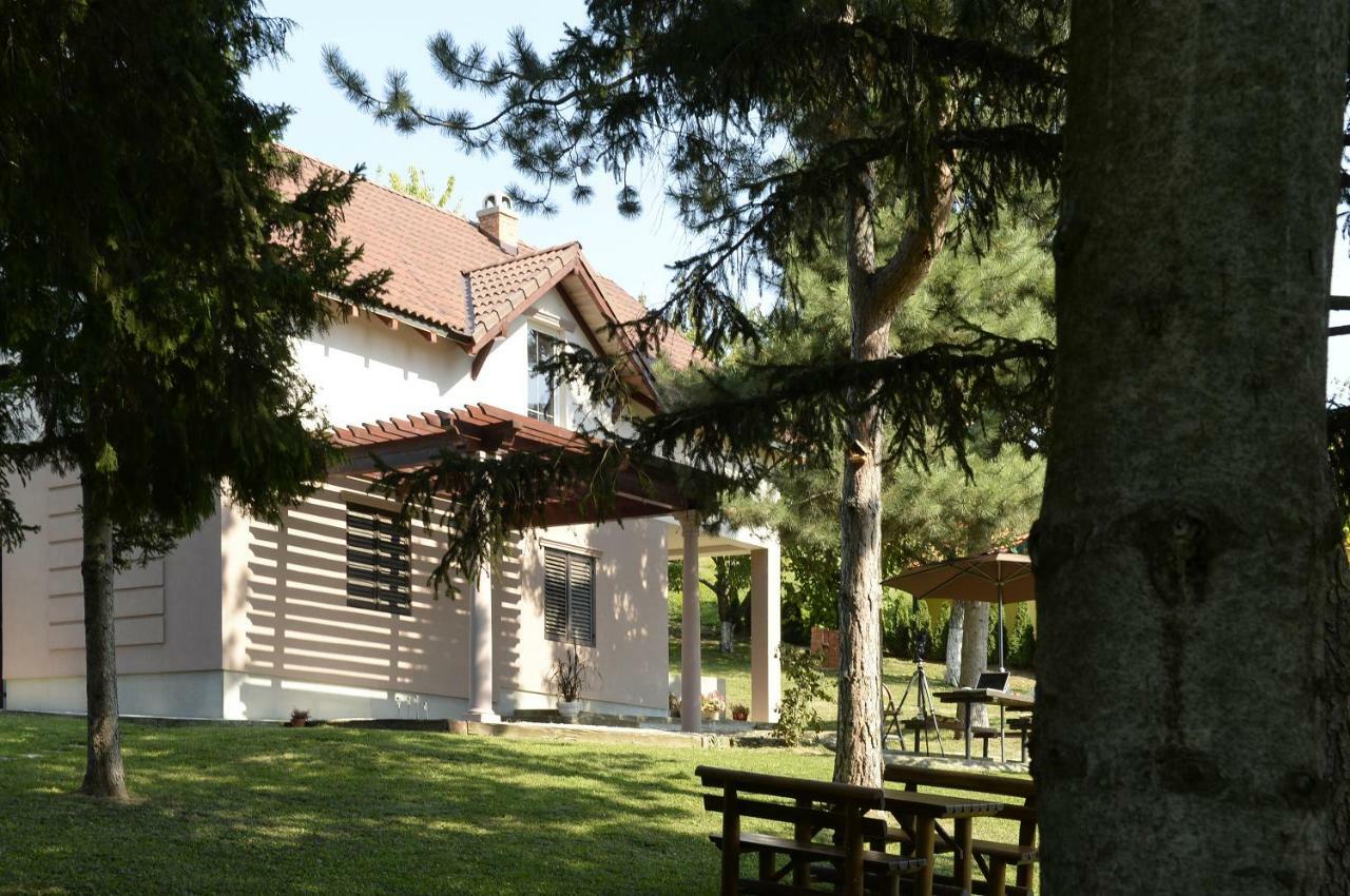 Vila Davidovic-Fruska Gora Mandelos Zewnętrze zdjęcie