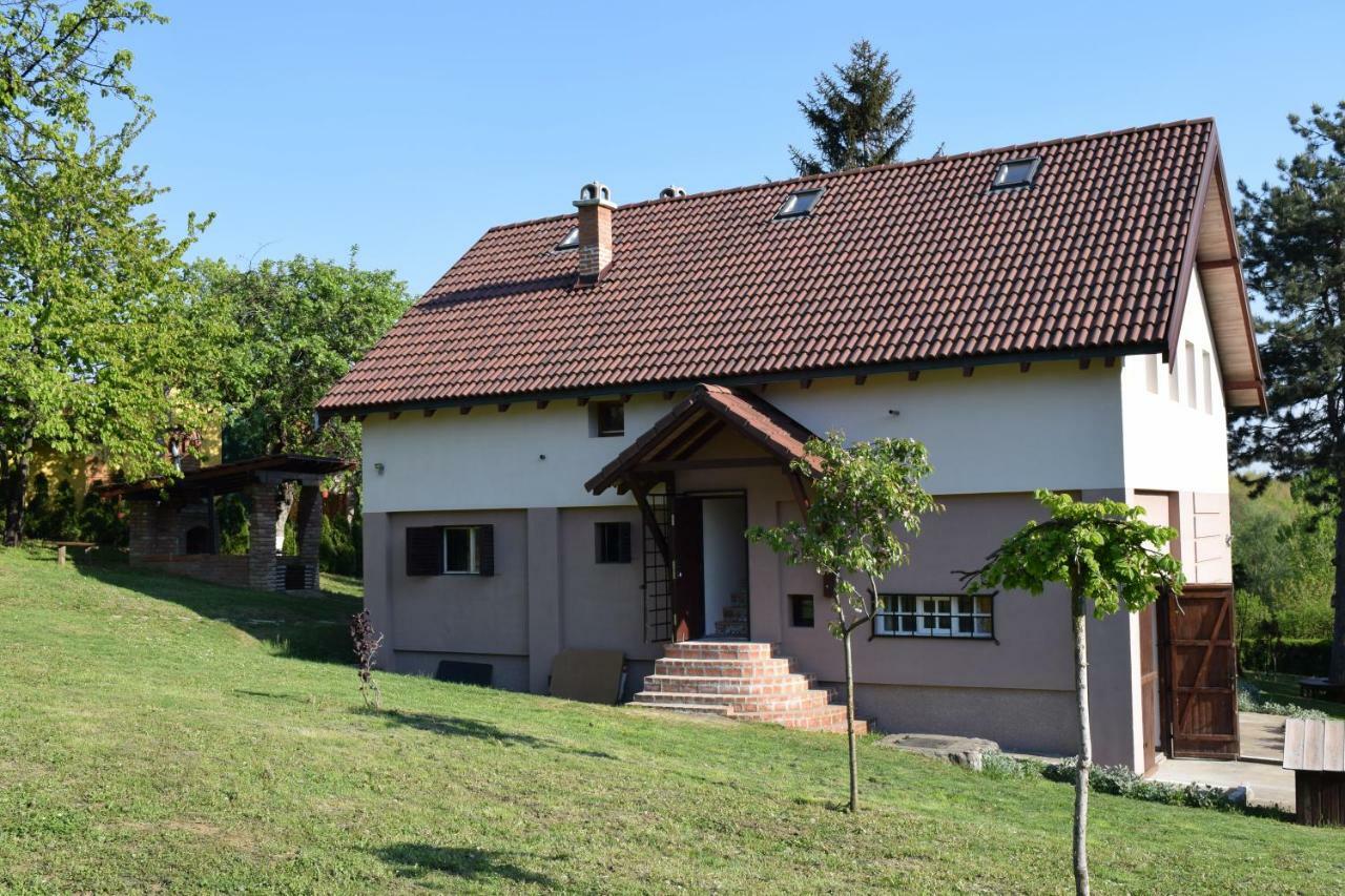 Vila Davidovic-Fruska Gora Mandelos Zewnętrze zdjęcie