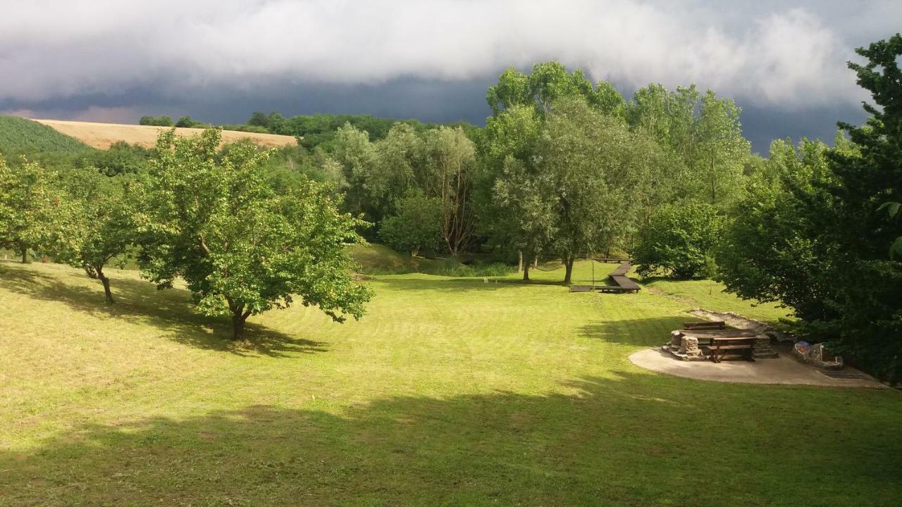 Vila Davidovic-Fruska Gora Mandelos Zewnętrze zdjęcie
